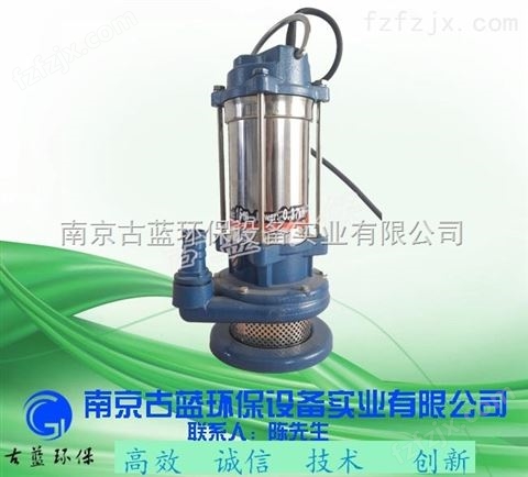 双绞刀泵 一体化泵站泵 增强型排污泵